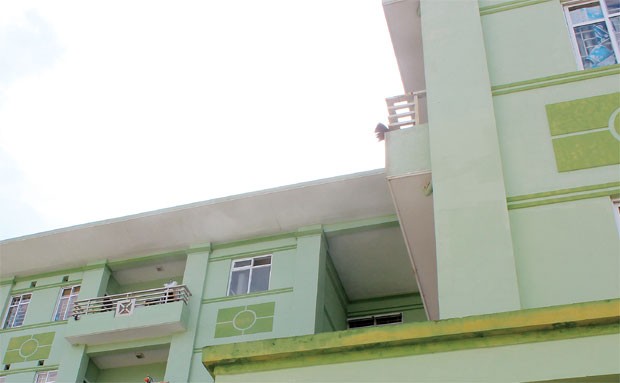 Nhà cho thuê, điểm sáng hiếm hoi